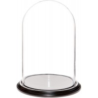 Plymor Brand 9.75" x 15" Glass Display Dome Cloche (Black Wood Veneer Base) 840003144192  192572352665